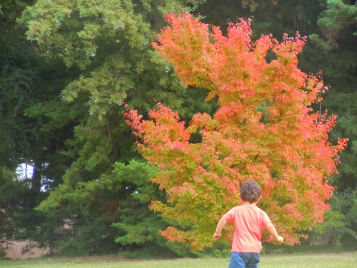 A seguir caminando en julio