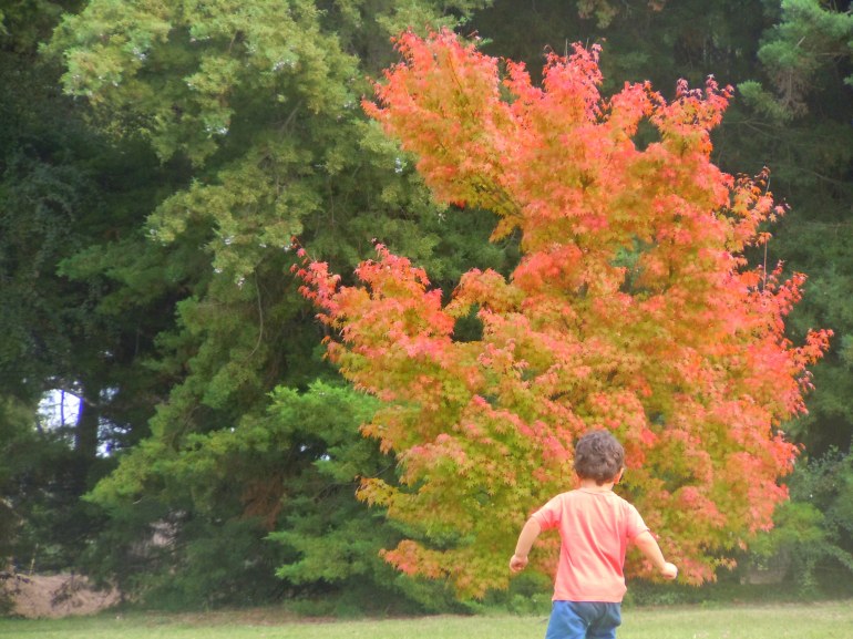 A seguir caminando en julio