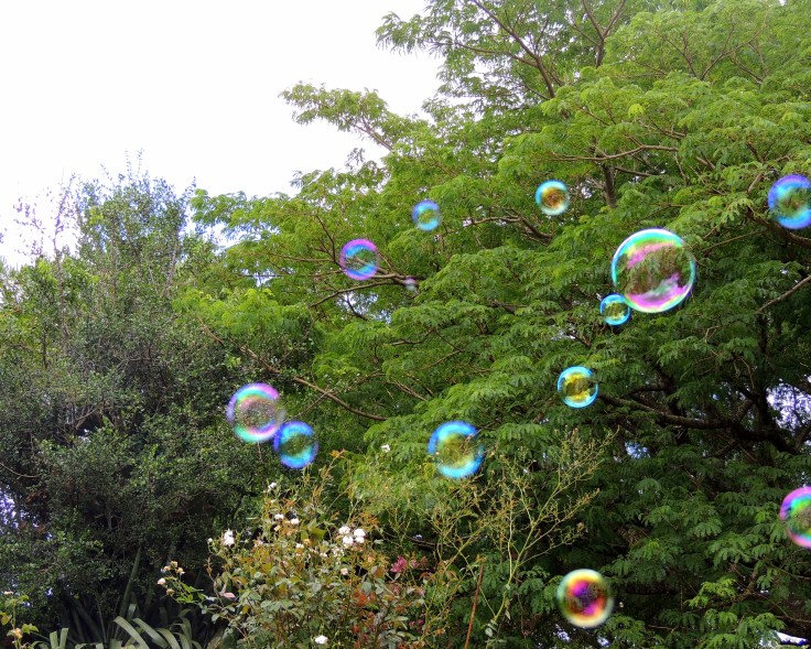 Optimismo y realidad