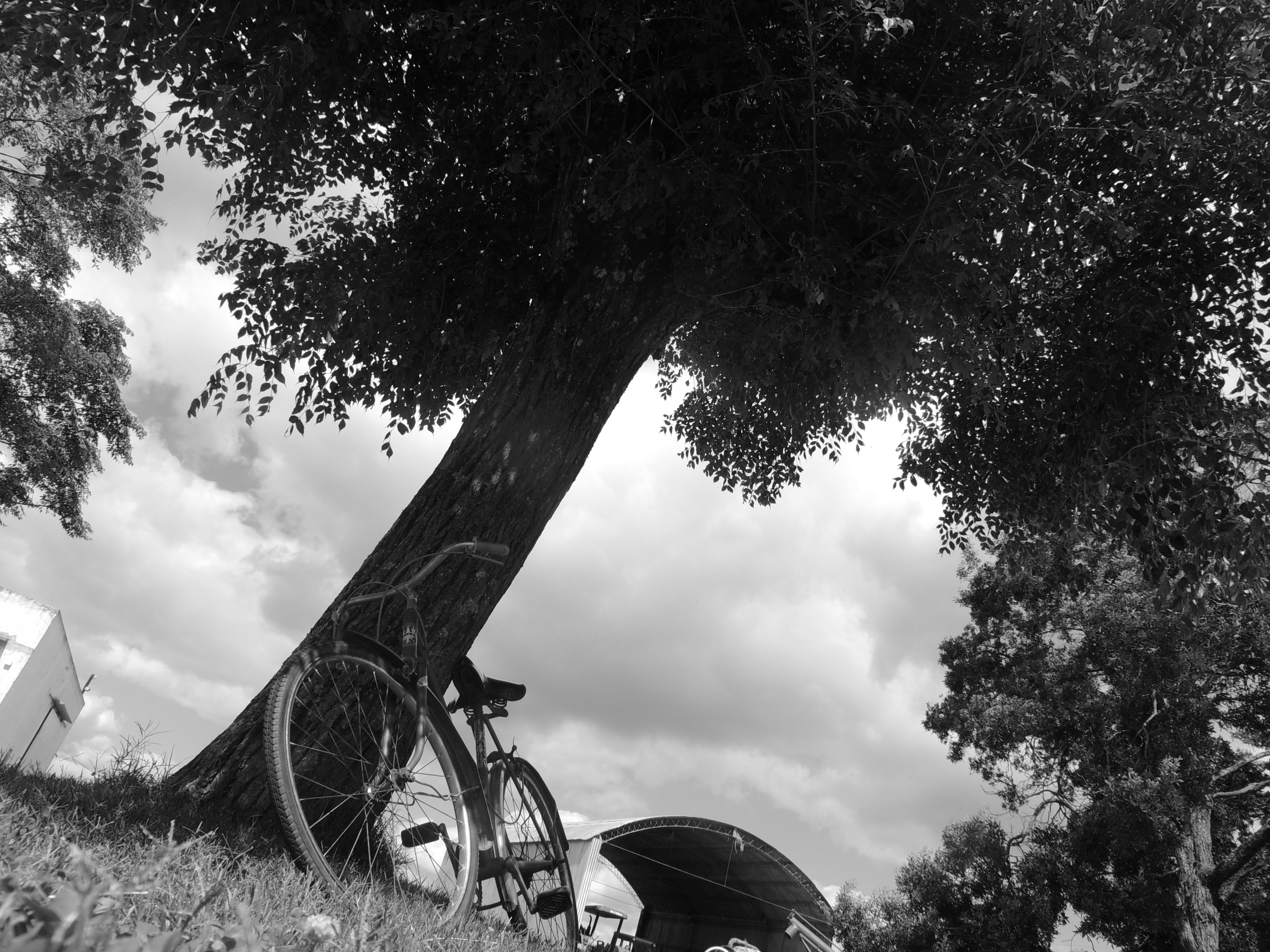 El último ciclista...