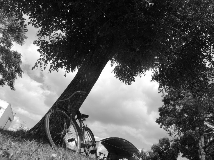 El último ciclista...