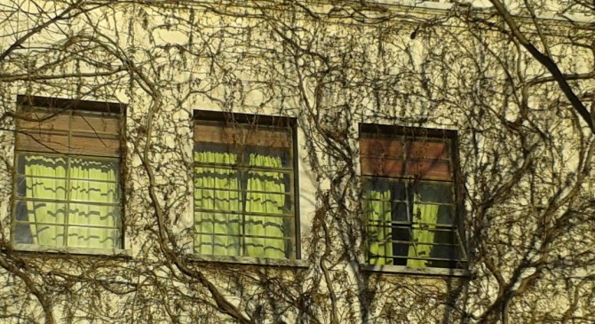 Ventanas