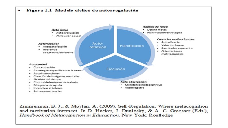 modelo zimmerman