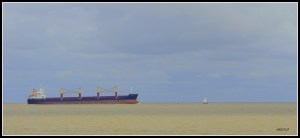 DSCN2255