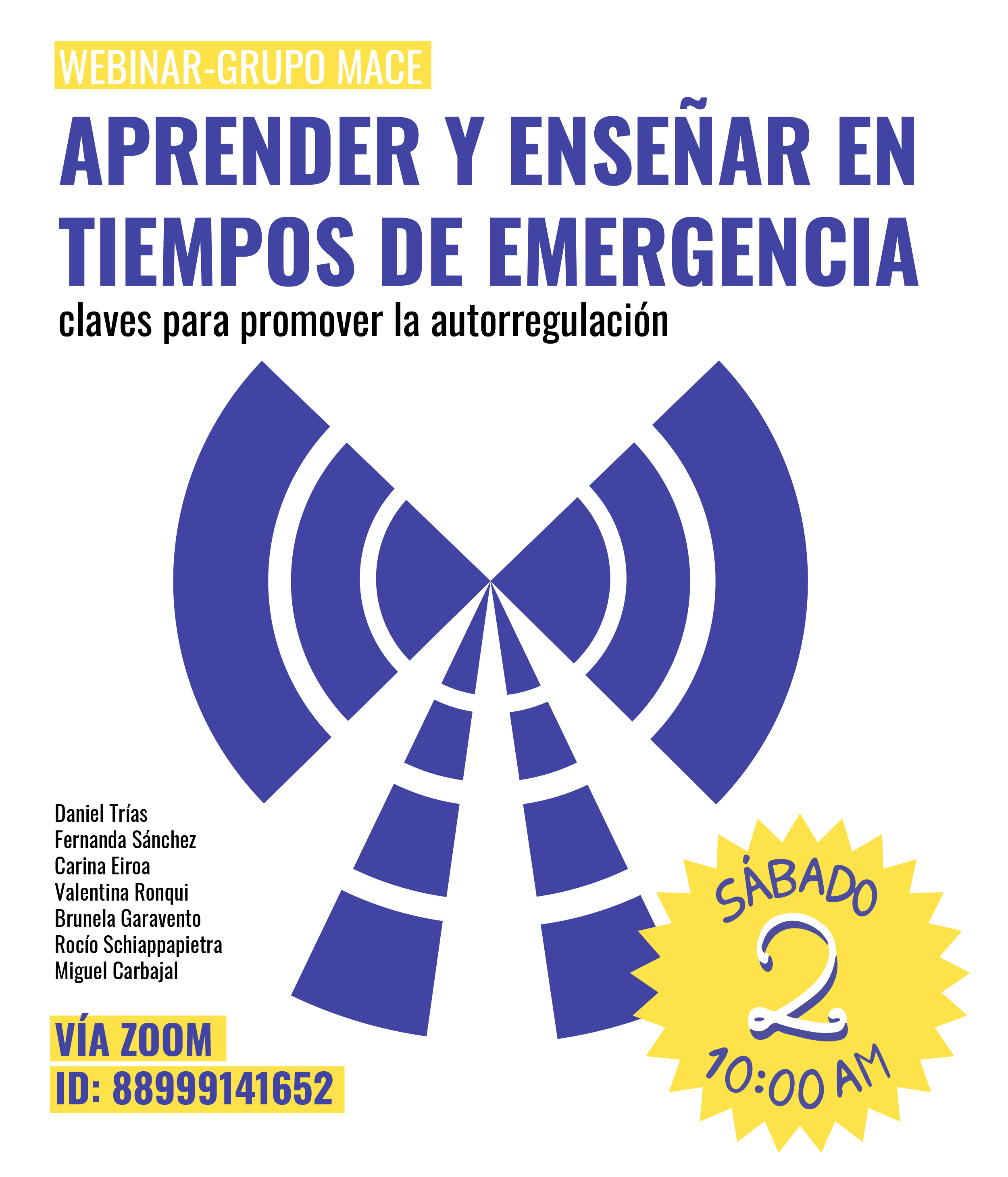 20-05-02 Webinar Afiche